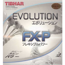 Tibhar Evolution FX-P