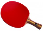 View Table Tennis bat DHS Racket 2002 FL
