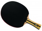 View Table Tennis bat DHS Racket 4002 FL