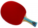 View Table Tennis bat DHS Racket 6002 FL