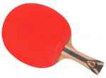 View Table Tennis bat DHS Racket 7002 FL