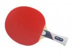 View Table Tennis bat Neottec 5000