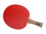 View Table Tennis bat Neottec 5000C