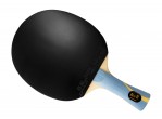 View Table Tennis Bats Pro Racket DHS Long 5 Hurricane National