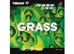 Tibhar Grass