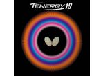 Butterfly Tenergy 19