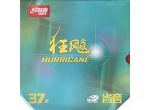 DHS Hurricane 3 Neo Provincial 37'
