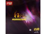 DHS Hurricane 3 Provincial 38'