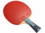 Double Fish Racket CM-1