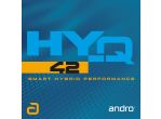 Andro HY-Q 42