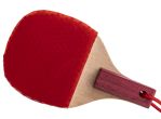 Nittaku Mascot Racket Pen