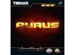Tibhar Aurus