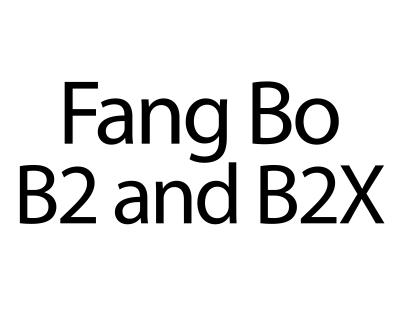 Review: DHS Fang Bo B2 and B2X Composite Blades