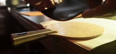 Assemble The Best Table Tennis Bat / Racket to Go from Beginner to Champion!